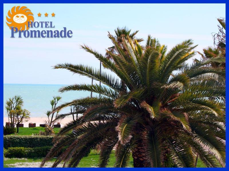Hotel Promenade Porto Sant'Elpidio Exterior photo